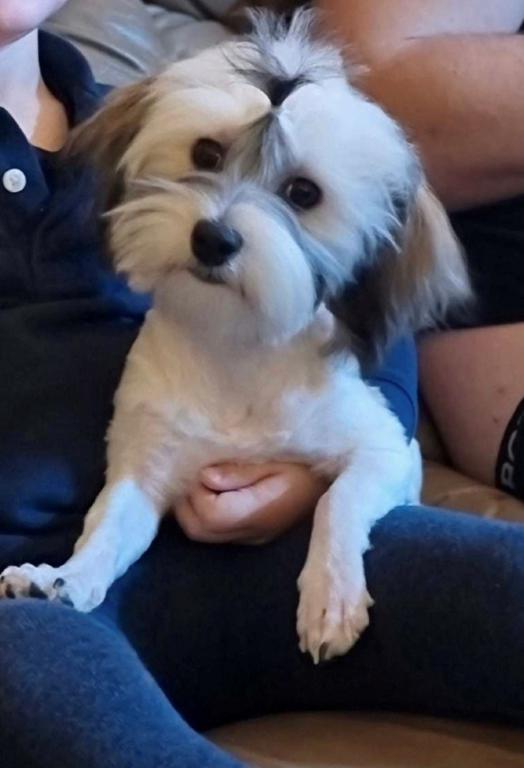 Millie