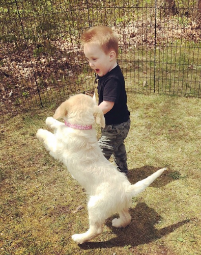 Labradoodle and grandson